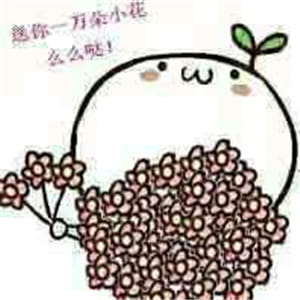 送你花花微信表情图片大全