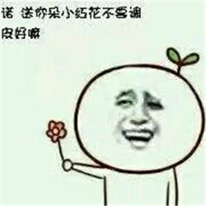 送你花花微信表情图片大全