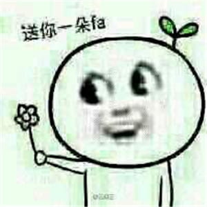 送你花花微信表情图片大全