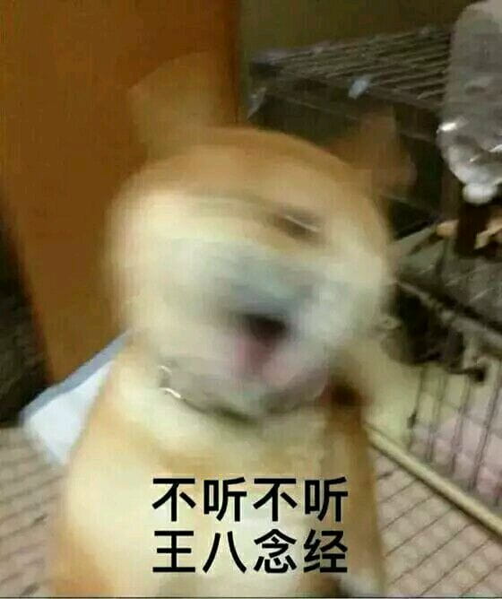 不听不听王八念经搞笑表情包