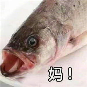 这是一组充满了咸鱼的表情包