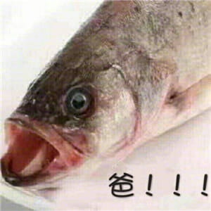 这是一组充满了咸鱼的表情包