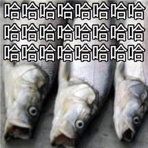 这是一组充满了咸鱼的表情包