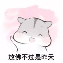 什么是真正的友谊？两只仓鼠告诉你！