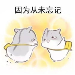 什么是真正的友谊？两只仓鼠告诉你！