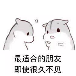 什么是真正的友谊？两只仓鼠告诉你！