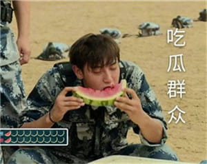 2017年比较火的表情包精选