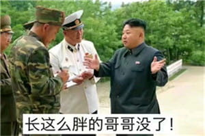 2017年比较火的表情包精选