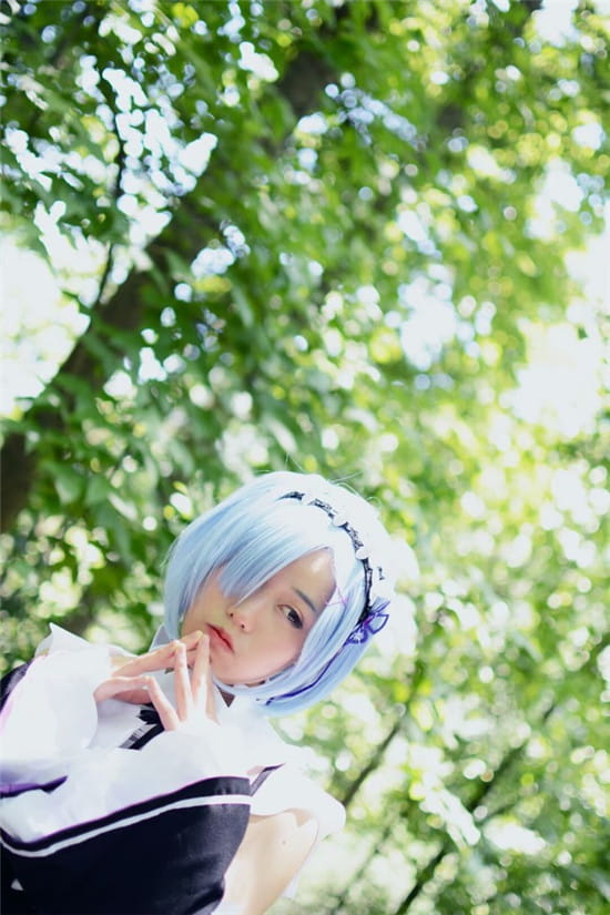 你的女仆掉到了森林里