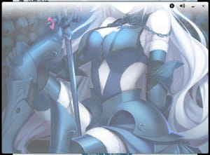 Fate/GO 黑贞德·Alter Win7电脑主题