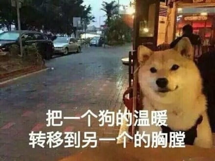 单身狗御用表情包