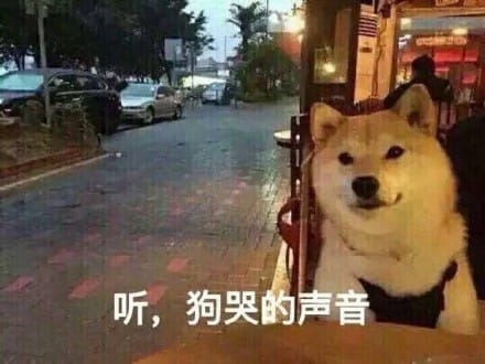 单身狗御用表情包