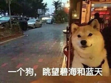 单身狗御用表情包