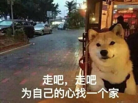 单身狗御用表情包