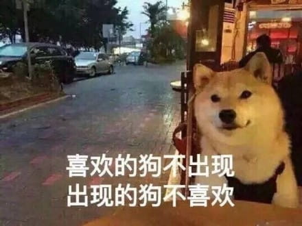 单身狗御用表情包