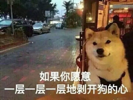 单身狗御用表情包