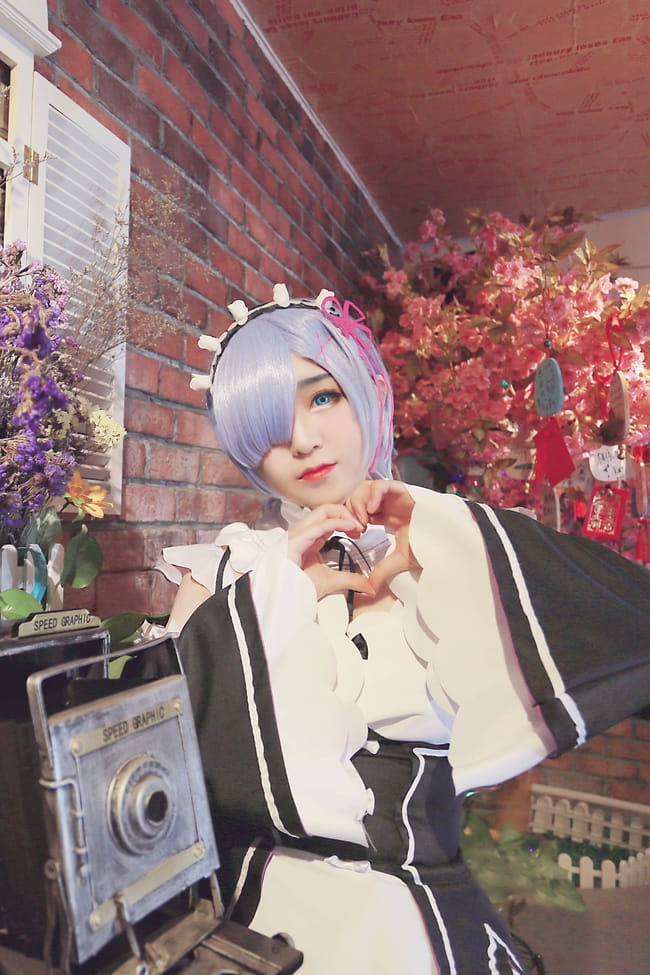 雷姆拉姆 咕咕咕鸽王回归