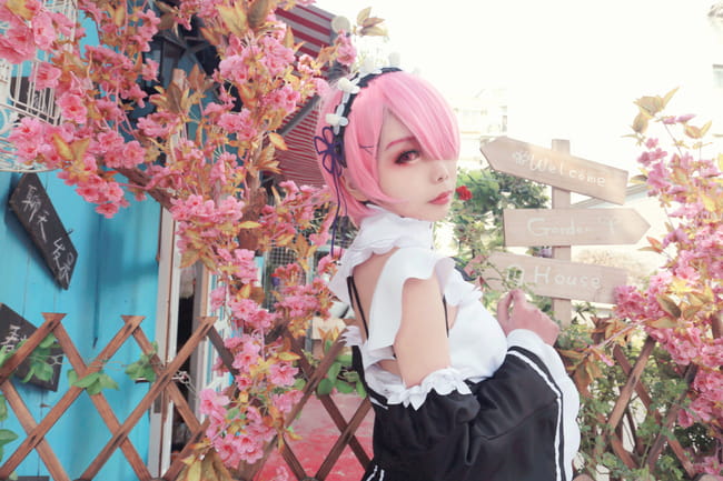 雷姆拉姆 咕咕咕鸽王回归