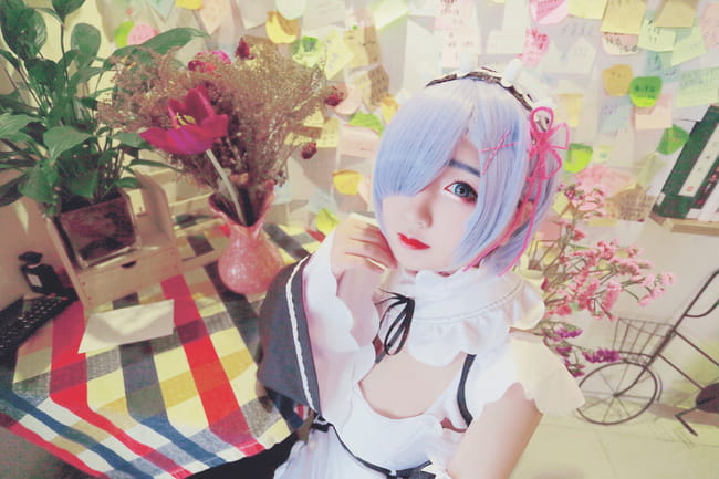 雷姆拉姆 咕咕咕鸽王回归