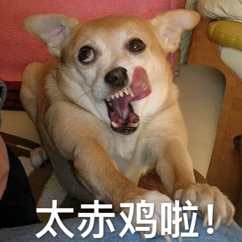 狗狗带字搞笑表情包