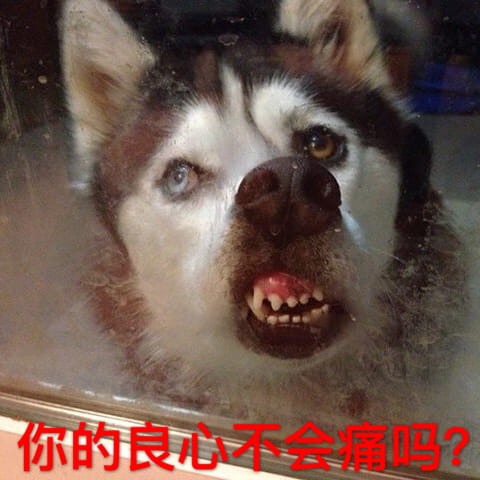 狗狗带字搞笑表情包