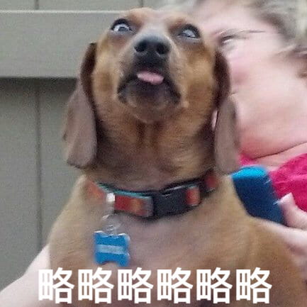 狗狗带字搞笑表情包