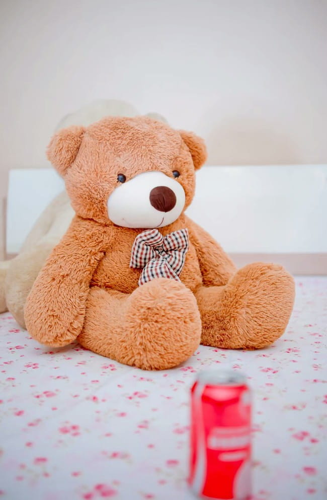 神的记事本 找出死者的话语 爱丽丝COS