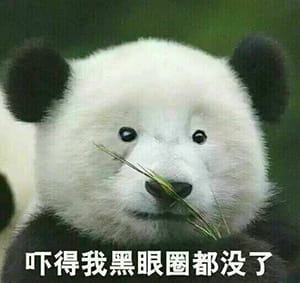 网上很火的熊猫表情包下载