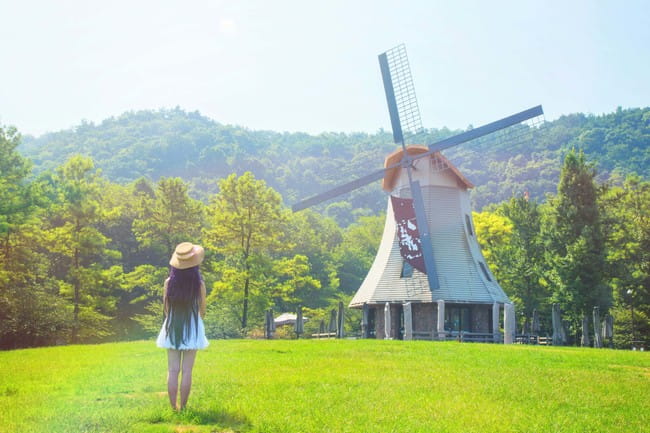 cos正片 黑猫白裙