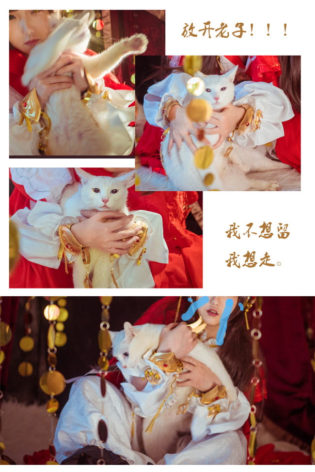 【剑网三COS】————雪河喵萝——