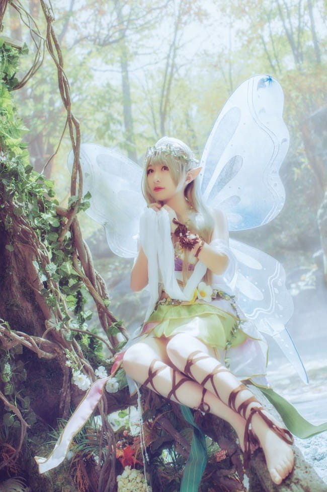 南小鸟-花妖觉醒