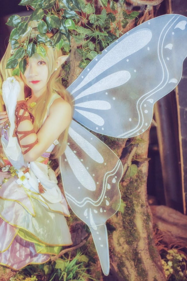 南小鸟-花妖觉醒