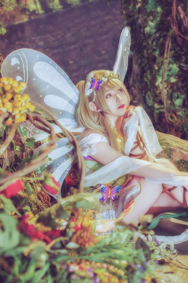 南小鸟-花妖觉醒