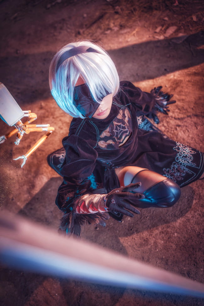 尼尔：机械纪元 2b/9s cos