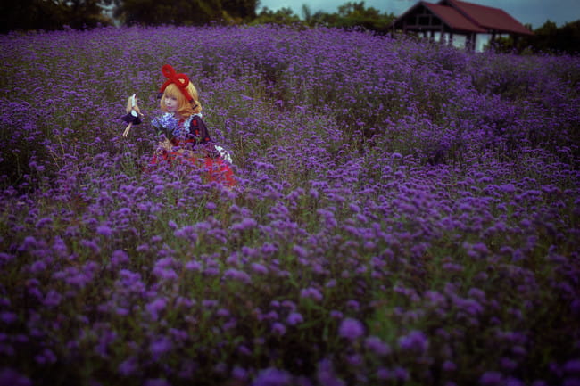 小さなスイートポイズン