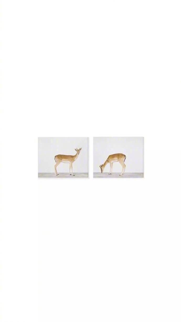 夏天的味道 小清新图片手机壁纸