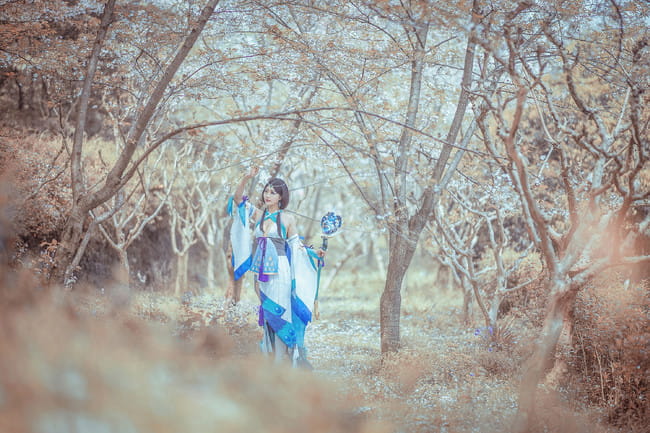 阴阳师 八百比丘尼·苍之雀羽 COS