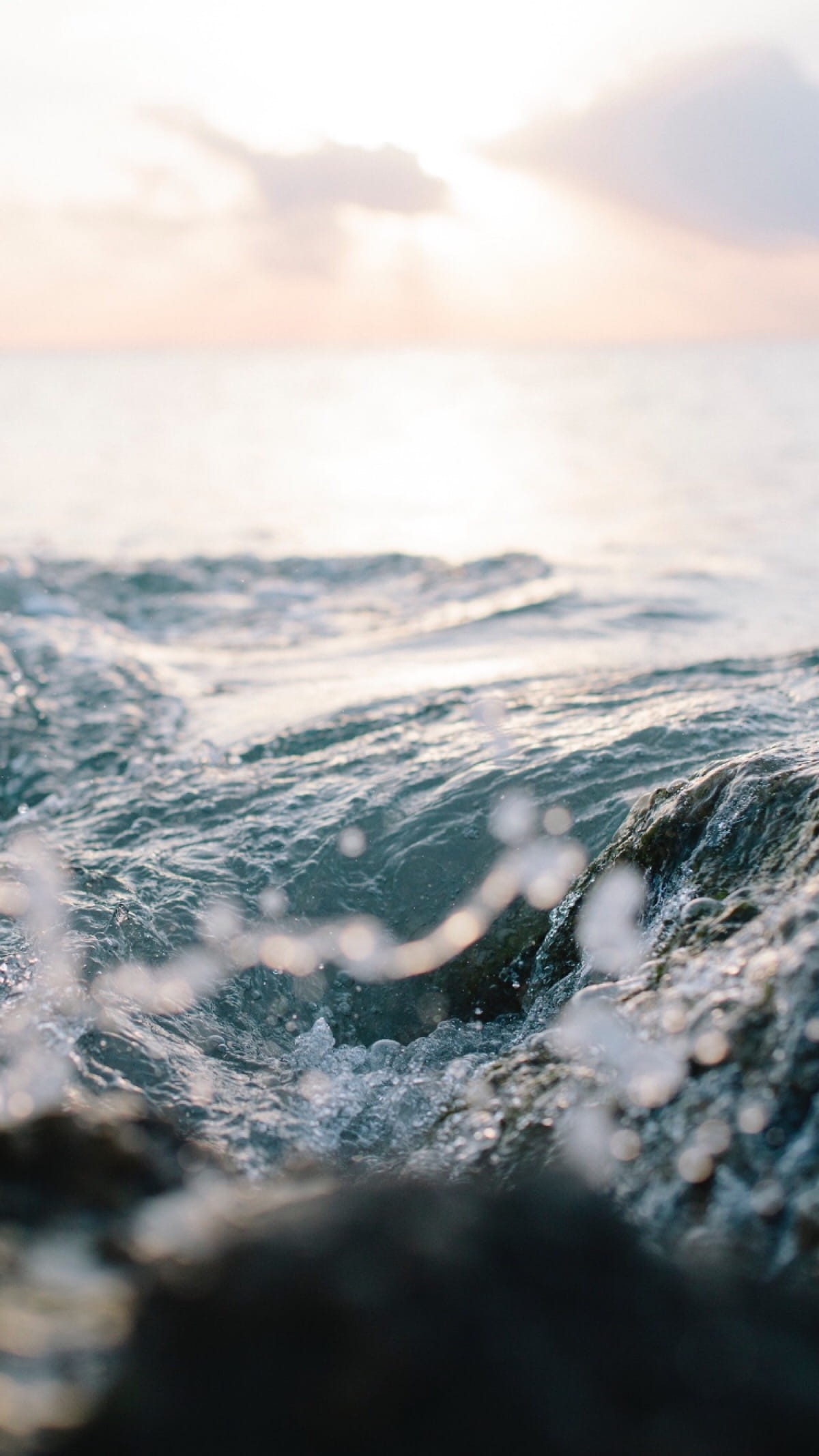 抓住最后的夏天小清新手机壁纸