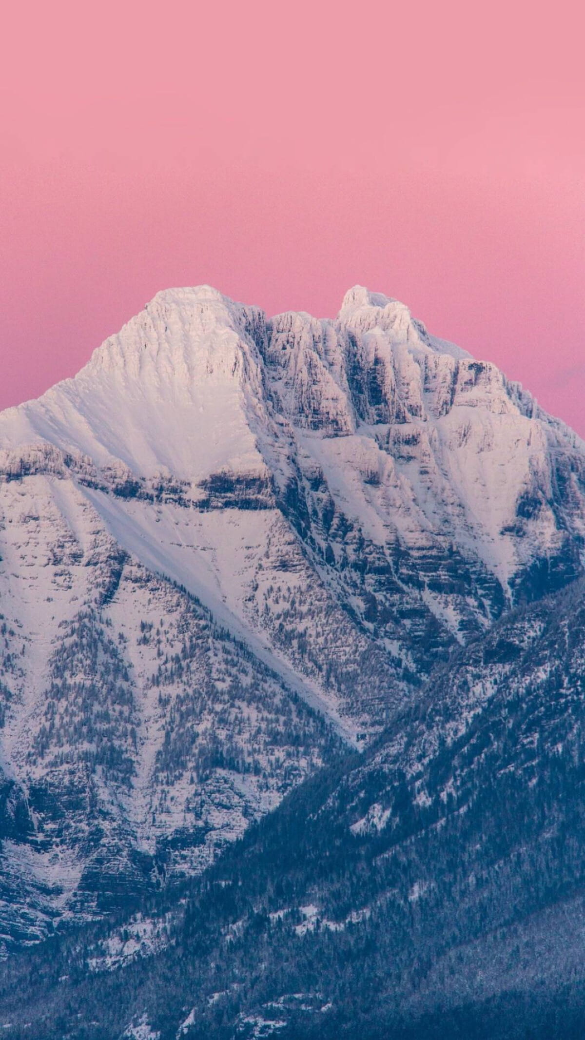 少女心满满粉色幻想手机壁纸下载