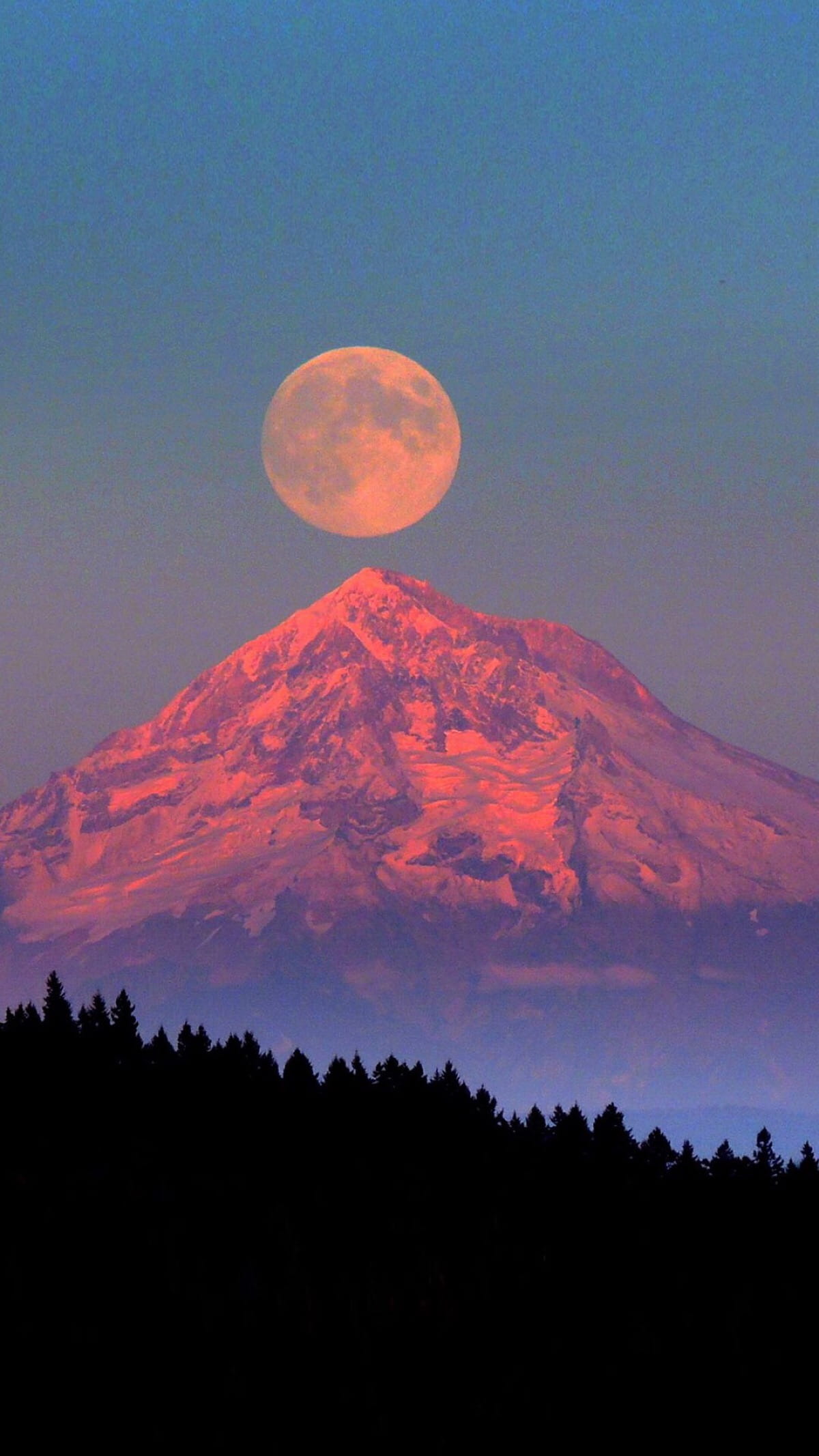 少女心满满粉色幻想手机壁纸下载