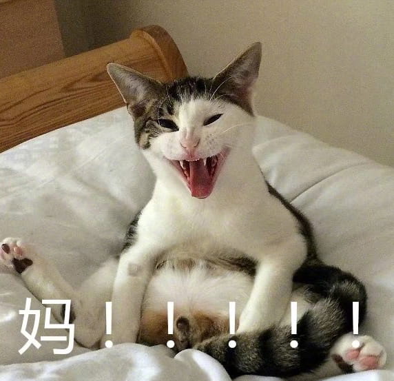 叫妈动物微信聊天表情包