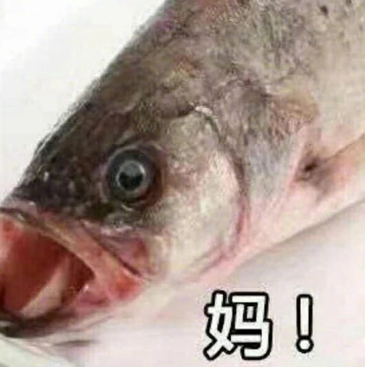 叫妈动物微信聊天表情包