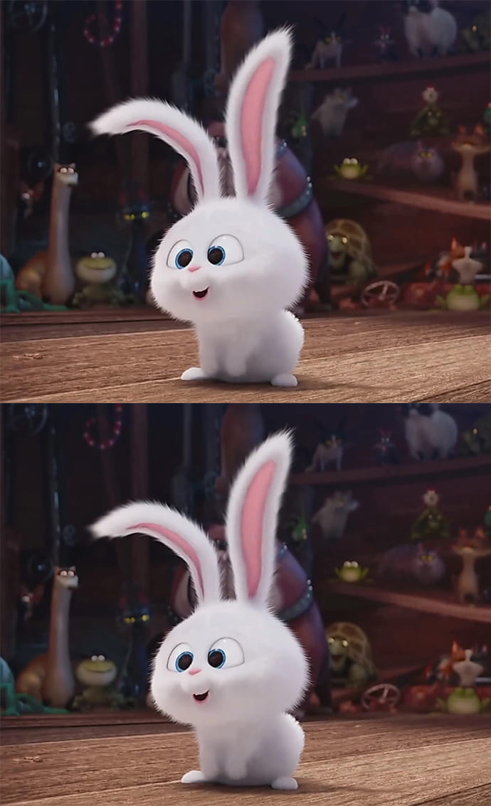 爱宠大机密 反差萌小兔子手机壁纸