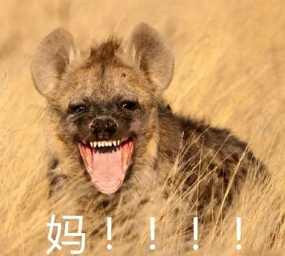叫妈动物微信聊天表情包