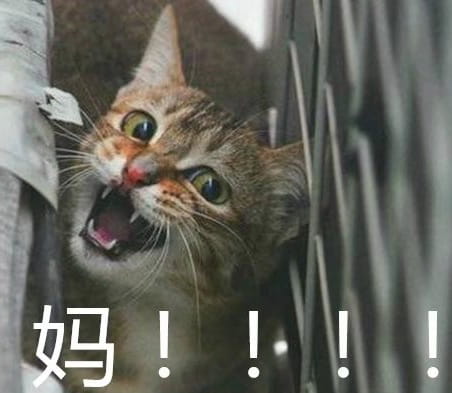 叫妈动物微信聊天表情包