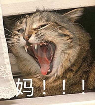 叫妈动物微信聊天表情包