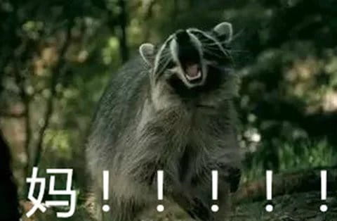 叫妈动物微信聊天表情包