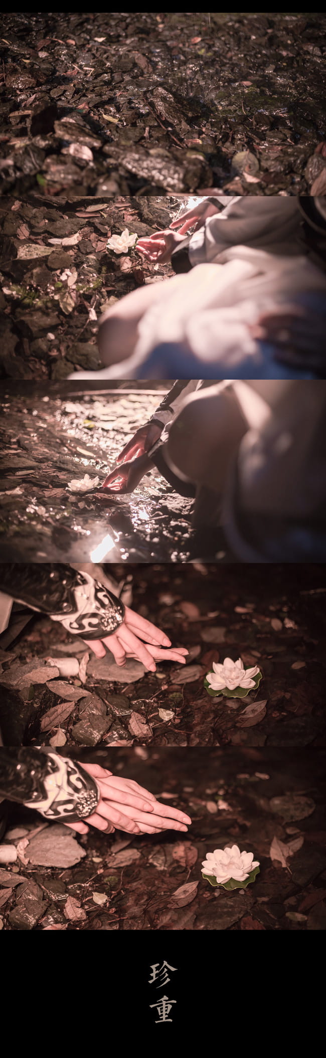 【未曾忘蒙昧时授我出世方】纯阳·破军