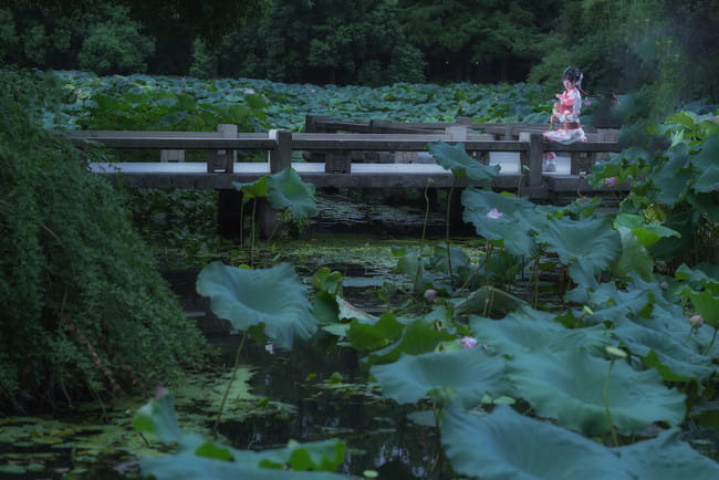 少年锦衣卫-九公主