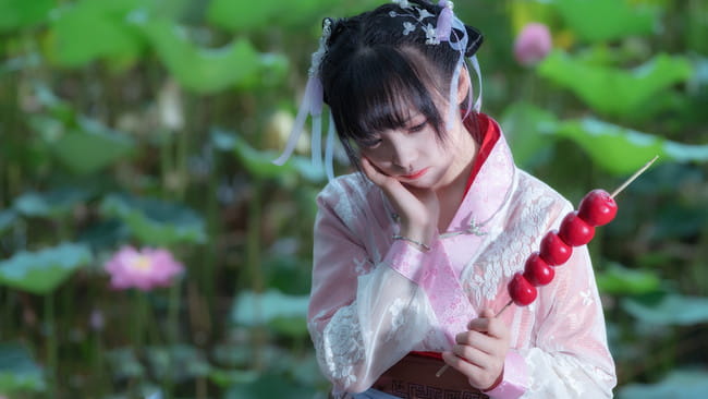 少年锦衣卫-九公主